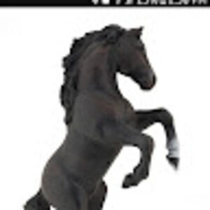 Meet your Posher, Pan